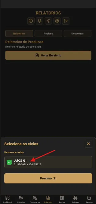 Escolha do ciclo para o relatório